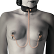 COQUETTE CHIC DESIRE - FANTASY NIPPELKLÄMME HALSBAND MED NEOPRENFODER