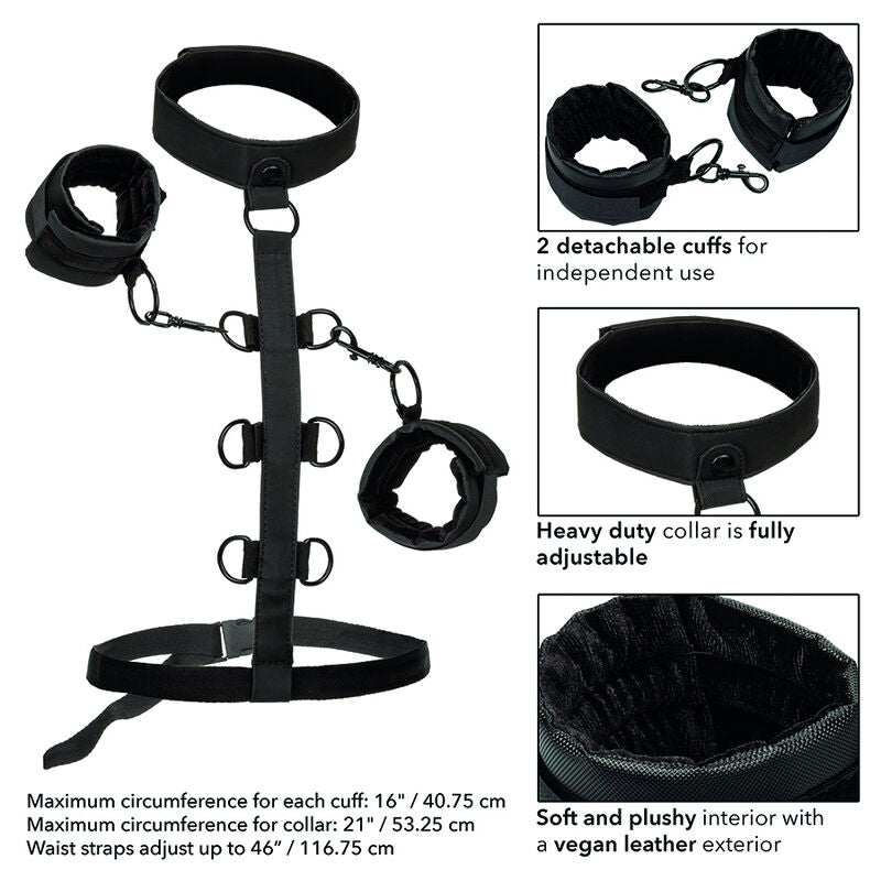 CALEXOTICS - BOUNDLESS HALSBAND KROPPSELÄGGNING