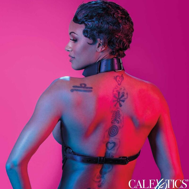 CALEXOTICS - Moniketjuinen valjas