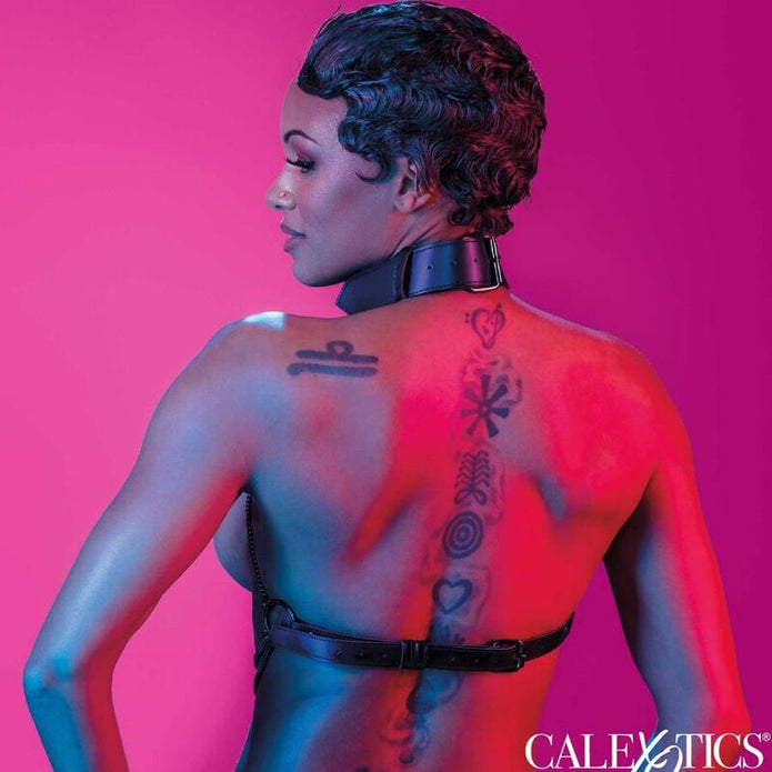 CALEXOTICS - Moniketjuinen valjas