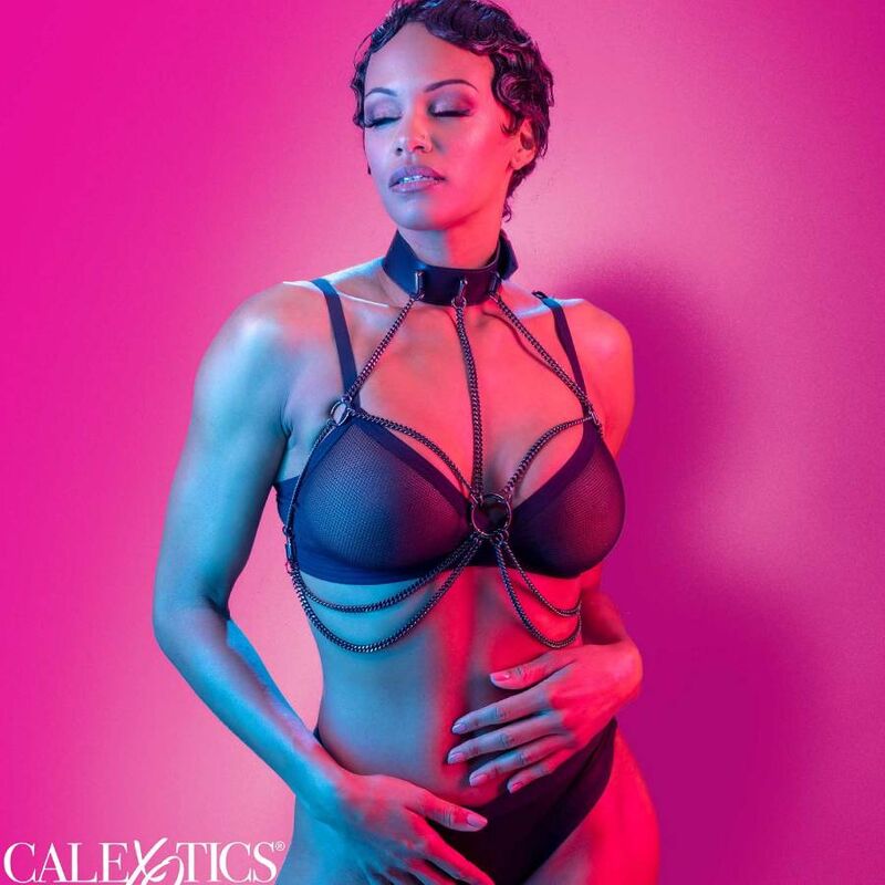 CALEXOTICS - Moniketjuinen valjas