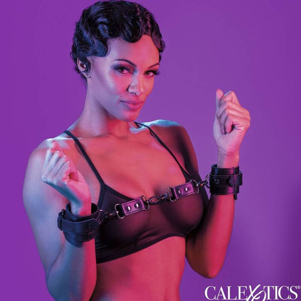 CALEXOTICS - EUPHORIA HANDKLOVAR