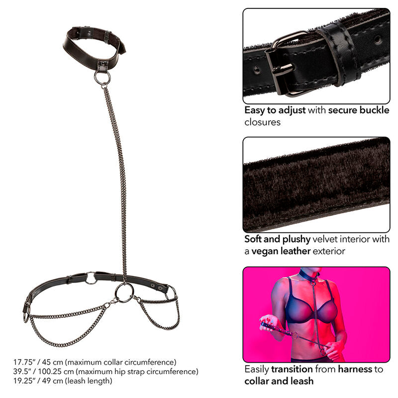 CALEXOTICS - EUPHORIA KEDJEHALSBAND MED KOPPEL