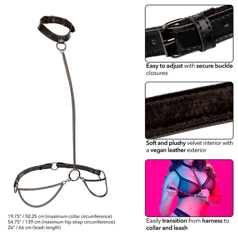 CALEXOTICS - EUPHORIA HALSBAND & KOPPEL MED KEDJA, PLUS SIZE