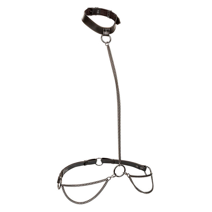CALEXOTICS - EUPHORIA HALSBAND & KOPPEL MED KEDJA, PLUS SIZE