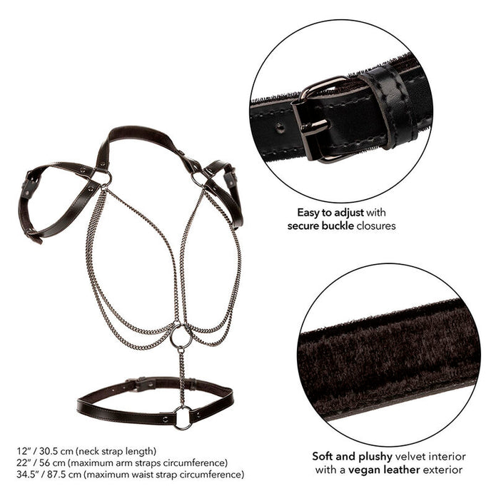 CALEXOTICS - EUPHORIA MULTIKEJDIG NACKREM HARNESS PREMIUM
