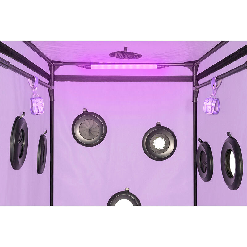 SECRET DOME - KINK CLUB CABIN SCANDALE PURPLE