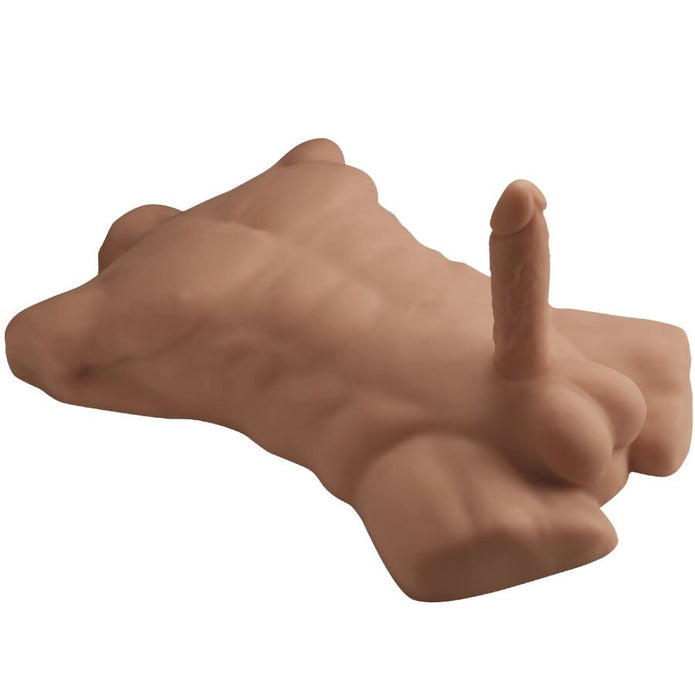 SILEXD - L realistinen miestorso